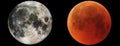 Full moon and total eclipse of the Moon comparison. Elements of this picture furnished by NASA Royalty Free Stock Photo