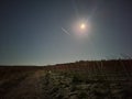 Full Moon Vineyard Royalty Free Stock Photo