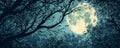 Full moon visible through silhouette tree branches at night Royalty Free Stock Photo