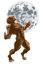 Full Moon Werewolf Scary Horror Monster Royalty Free Stock Photo