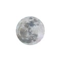 Full moon with white background. Royalty Free Stock Photo