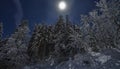 Full moon winter night fairytale, snow covered trees Royalty Free Stock Photo