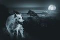 Full Moon Wolf Hunt Royalty Free Stock Photo
