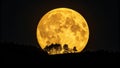 Full MoonYellow MoonNight Sky Royalty Free Stock Photo