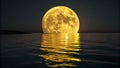 Full MoonYellow MoonNight Sky Royalty Free Stock Photo