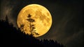 Full MoonYellow MoonNight Sky Royalty Free Stock Photo