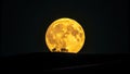 Full MoonYellow MoonNight Sky Royalty Free Stock Photo