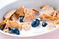 Full muesli bowl on a white table with blueberry and milk splash. Healthy breakfast cereals with milk, seed, fruit. Oat flakes