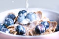 Full muesli bowl on a white table with blueberry and milk splash. Healthy breakfast cereals with milk, seed, fruit. Oat flakes Royalty Free Stock Photo