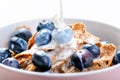 Full muesli bowl on a white table with blueberry and milk splash. Healthy breakfast cereals with milk, seed, fruit. Oat flakes