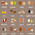 Full nuts and seeds icon set