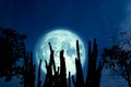 full oak moon on night sky and white cloud and silhouette cactus and desert plant tree