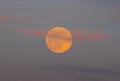 Full Orange Flower Moon in Daytime Surrounded by Pink Clouds