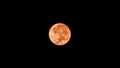 Orange Full Moon on Black Background Royalty Free Stock Photo