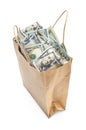 Full paper bag of money isolated on white Royalty Free Stock Photo