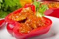 Full paprika (with meat) Royalty Free Stock Photo