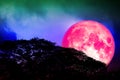 full pink moon back silhouette trees and colorful sky Royalty Free Stock Photo