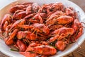 Full plate of boiled crayfishes. Top view