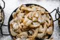 Full plate of fresh raw shrimp Royalty Free Stock Photo