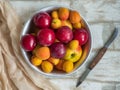 Full plate of ripe fresh apricot fruit, nectarine and plum close-up on a light wooden table, top view. Knife with wooden