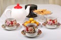 Full porcelain teacups with hot tea and with floral pattern, biscuits and plate with wild apricots