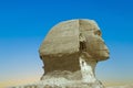 Full profile of the Great Sphinx in Giza Royalty Free Stock Photo