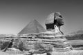 full profile of the Great Sphinx with the pyramid in the background in Giza Royalty Free Stock Photo