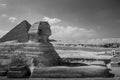 The full profile of the Great Sphinx with the pyramid in the background in Giza. Royalty Free Stock Photo