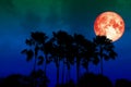full red moon back silhouette high palm in dark night sky