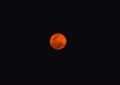 The full red moon in black sky Royalty Free Stock Photo