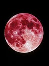 Full Red Moon Night Sky Royalty Free Stock Photo