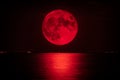 Full red moon over the sea Royalty Free Stock Photo