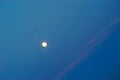 Full red moon on blue sky background Royalty Free Stock Photo