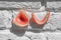 Full removable plastic denture of the jaws. A set of dentures on a light background. Two acrylic dentures.