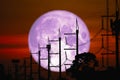 Full Rose Moon back on silhouette power electric line and pole on night sky Royalty Free Stock Photo