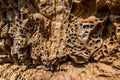 Full-screen close-up of honeycomb weathering of sandstone