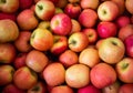 Full screen of red apples background. Many organic fresh apple in market stall, full frame shot. Royalty Free Stock Photo