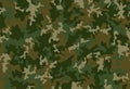 Full seamless abstract military camouflage skin pattern vector for decor and textile. Army masking design Royalty Free Stock Photo