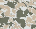 seamless camouflage texture skin pattern vector for military textile. Usable for Jacket Pants Shirt and Shorts. Dirty army camo Royalty Free Stock Photo
