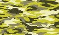seamless camouflage texture skin pattern vector for military textile. Usable for Jacket Pants Shirt and Shorts. Yellow army camo Royalty Free Stock Photo