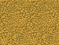 Seamless cheetah and leopard animal skin pattern vector. Design for yellow cheetah colored textile fabric printing. Suitable for f Royalty Free Stock Photo