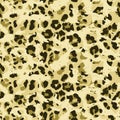 Full seamless leopard cheetah animal skin texture pattern.