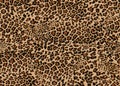 seamless leopard cheetah texture animal skin pattern. Brown textile fabric print. Royalty Free Stock Photo