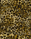 seamless leopard cheetah texture animal skin pattern. Gold color textile fabric print. Suitable for fashion use. Royalty Free Stock Photo