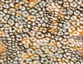 seamless leopard cheetah texture animal skin pattern. Gold color textile fabric print. Suitable for fashion use. Vector Royalty Free Stock Photo