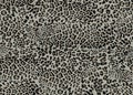 seamless leopard cheetah texture animal skin pattern. Textile fabric print. Suitable for fashion use. Royalty Free Stock Photo