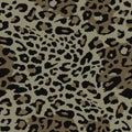 Seamless leopard cheetah texture animal skin pattern vector. Brown design for textile fabric printing. Suitable Royalty Free Stock Photo