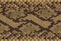 Seamless Onamental Snake Animal Skin Pattern Vector. Snake leather design for textile fabric print. Snake