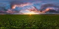 Full seamless spherical hdri panorama 360 degrees angle view among fields in summer evening sunset with awesome blue pink red