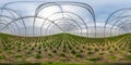 Full seamless spherical hdri panorama 360 degrees angle view inside of greenhouse of young conifers with a lot of plants in Royalty Free Stock Photo